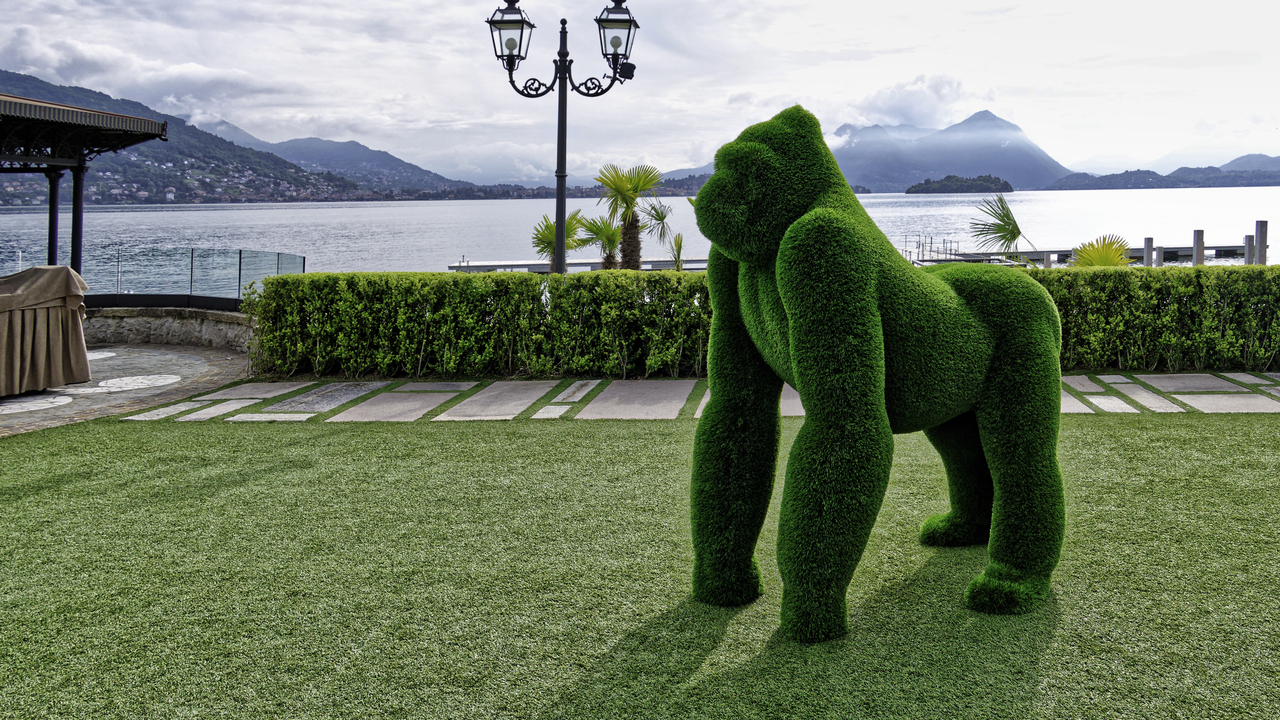 20250521-092626•Hotel Dino•Baveno•Piedmont•Italy